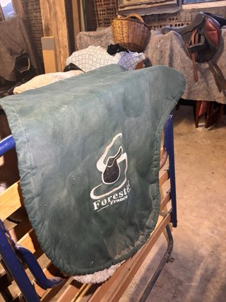 Funda protectora borrego Forestier para Caballo