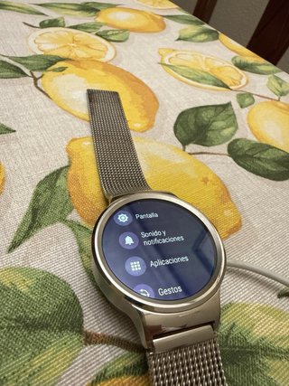 Huawei Watch 1 AF30-1 Plata + Cargador
