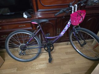 Bicicleta Morada con Cesta Rosa