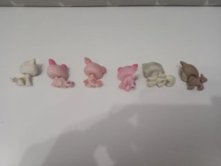 Lote 6 gatos Littlest Pet Shop