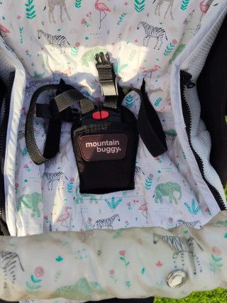 Carrito Gemelar Mountain Buggy