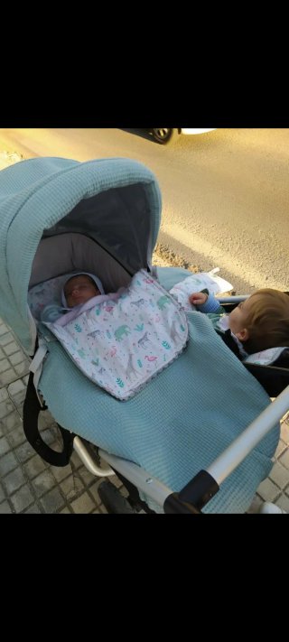 Carrito Gemelar Mountain Buggy