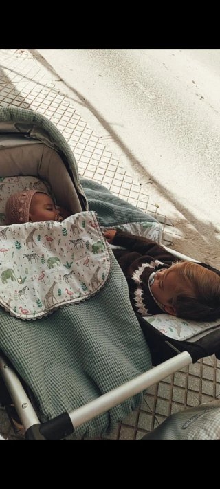 Carrito Gemelar Mountain Buggy