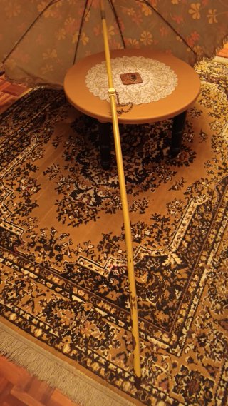 SOMBRILLA PLEGABLE CON FLORES (Precio a convernir)