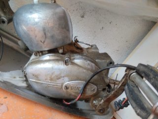 Motores ciclomotor Suzuki Derbi