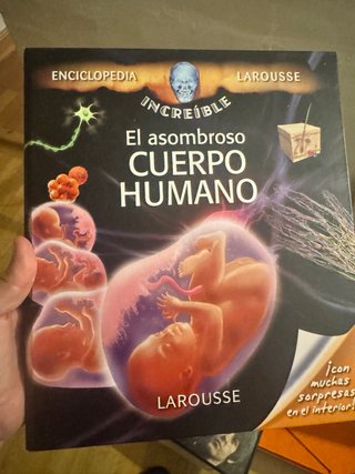 Cuentos infantiles