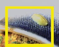 Libro : Gastronomía y Nutrición.
