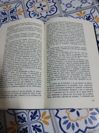 Libro Caballo de Troya 4 J.J. Benitez
