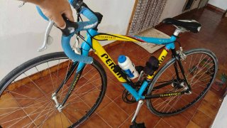 Bici Camillo Perna Team Renauly