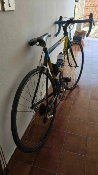 Bici Camillo Perna Team Renauly