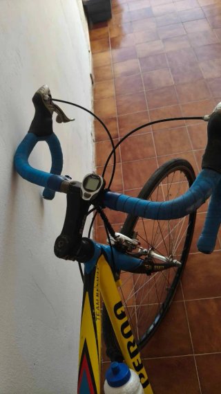 Bici Camillo Perna Team Renauly
