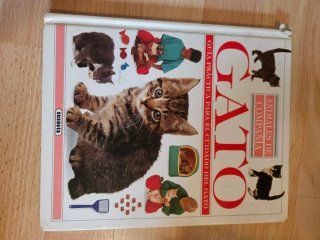 Lote libros de los 80