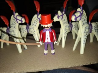 Playmobil Circo 5 Caballos y Domador
