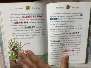 Libro Tea Stilton - El secreto de las Hadas