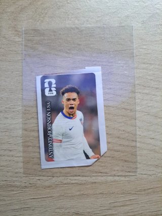 Cromo Antoneee Robinson USA FIFA