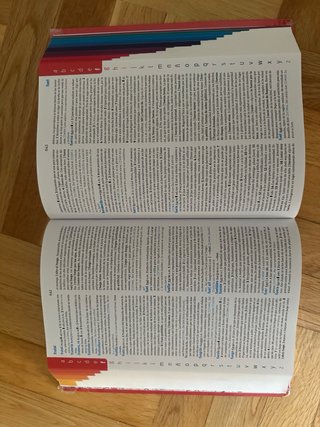 Diccionario Avanzado Primaria. Lengua española