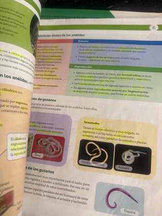 BIOLOGIA Y GEOLOGIA ARAGON 1 ESO CONSTRUYENDO M...