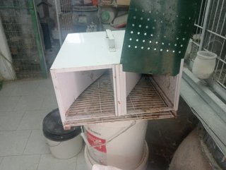 Comederos, bebederos, nidos y más para animales