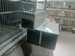 Comederos, bebederos, nidos y más para animales