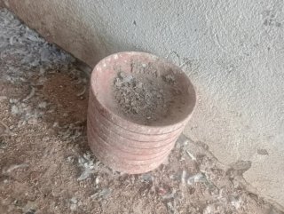 Comederos, bebederos, nidos y más para animales