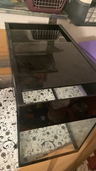 Pecera de cristal negra