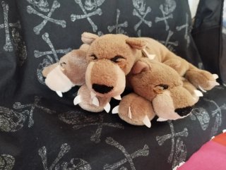 Pack Peluches Harry Potter