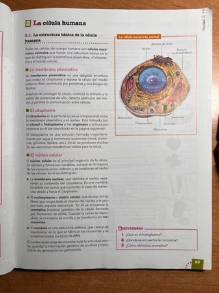Anatomía aplicada Bachillerato 1