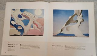 Georgia O'Keeffe An American Perspective TAMAÑOXXL