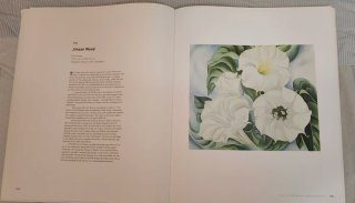 Georgia O'Keeffe An American Perspective TAMAÑOXXL