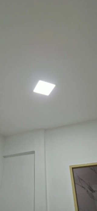MANITAS SEVILLA Y CERCANIAS