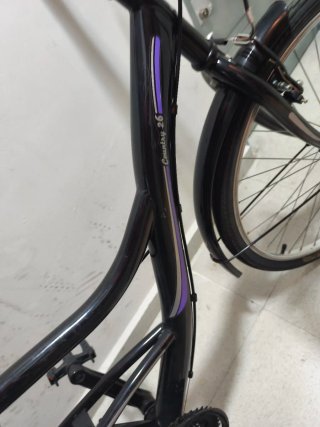 Bicicleta chica Country 26