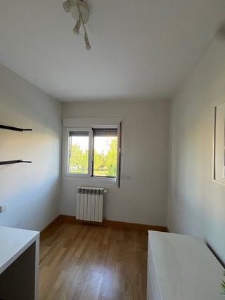 QUITAR GOTELE, ALISADOR, PINTOR