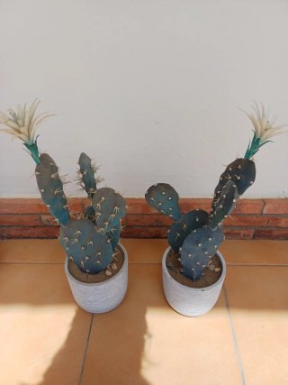 Cactus Artificiales Decorativos 47cm maceta piedra