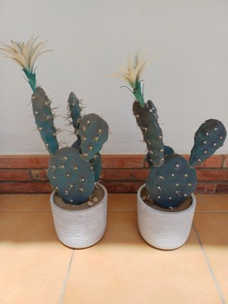 Cactus Artificiales Decorativos 47cm maceta piedra