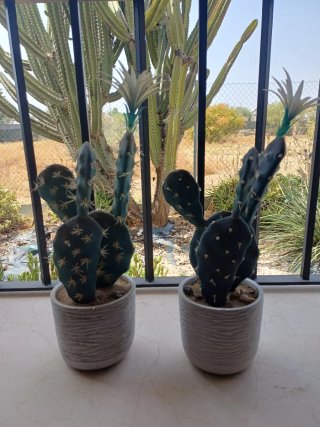 Cactus Artificiales Decorativos 47cm maceta piedra