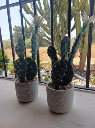 Cactus Artificiales Decorativos 47cm maceta piedra