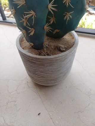 Cactus Artificiales Decorativos 47cm maceta piedra