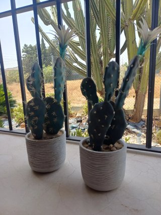 Cactus Artificiales Decorativos 47cm maceta piedra