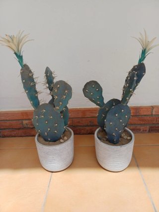 Cactus Artificiales Decorativos 47cm maceta piedra