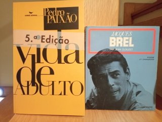 Vida de adulto: Ficção (Portuguese Edition)