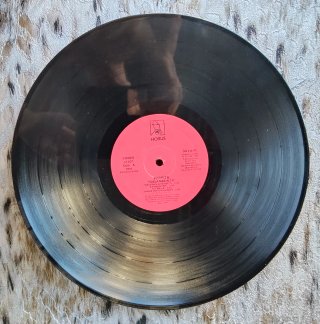 LP Parrita Vuela más alto