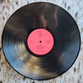 LP Parrita Vuela más alto