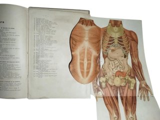 Atlas Anatómico J. F. Schreiber antiguo