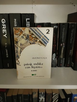 Libro paisaje andaluz con figuras 2