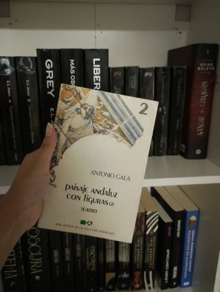 Libro paisaje andaluz con figuras 2