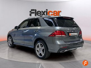 Mercedes Clase GLE GLE 250 d 4MATIC