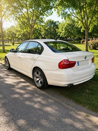 BMW Serie 3 2010
