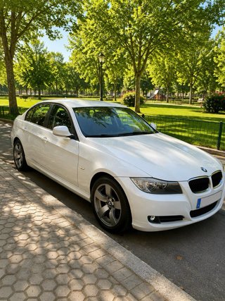 BMW Serie 3 2010