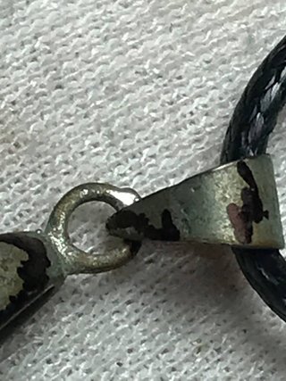 Colgante Plata Ley Fósil Ammonite + Regalo