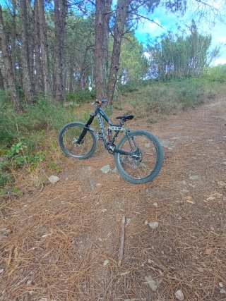 Bicicleta DH Stinky